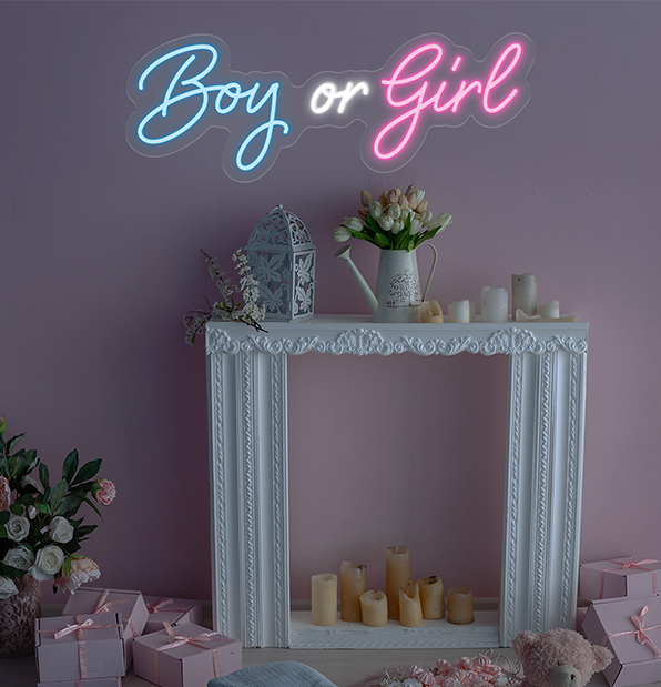 Boy or Girl LED Neon Sign