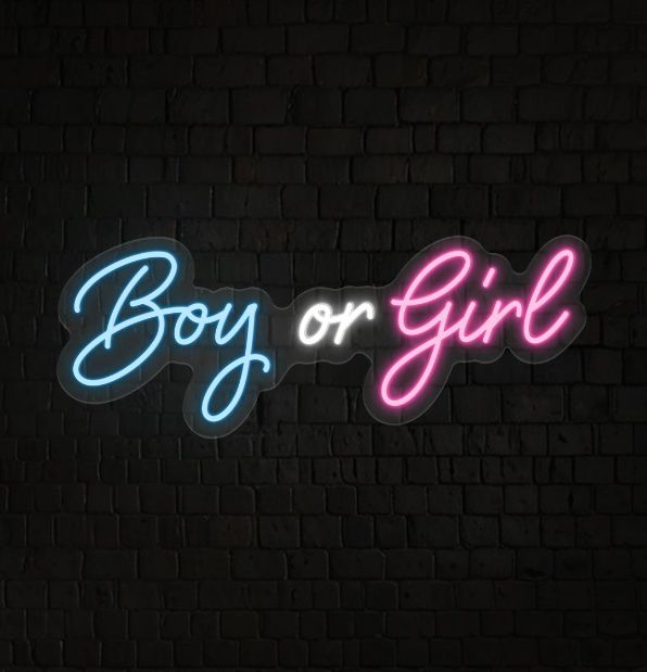 Boy or Girl LED Neon Sign